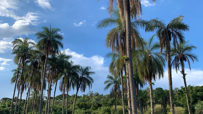 Queen Elizabeth II Botanic Park