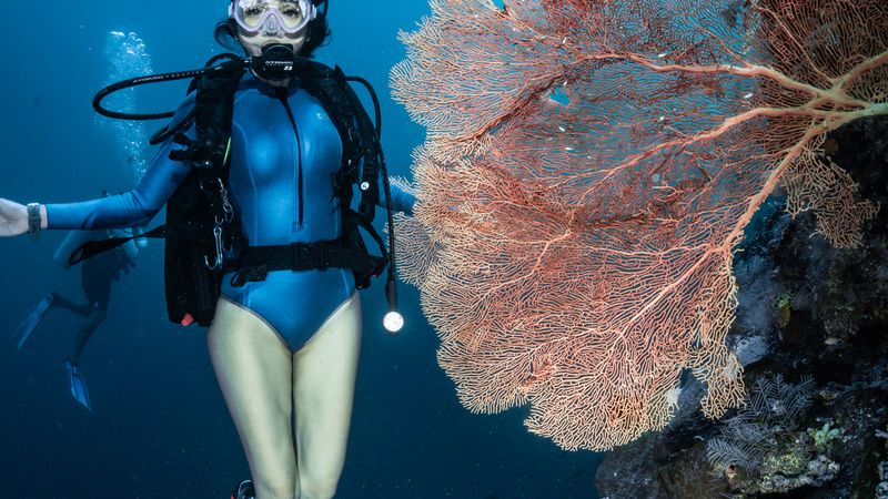 Grand Cayman All Inclusive Resorts: What You Actually Get