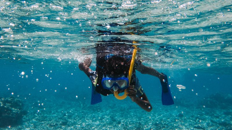 Family snorkeling tour in the Cayman Islands