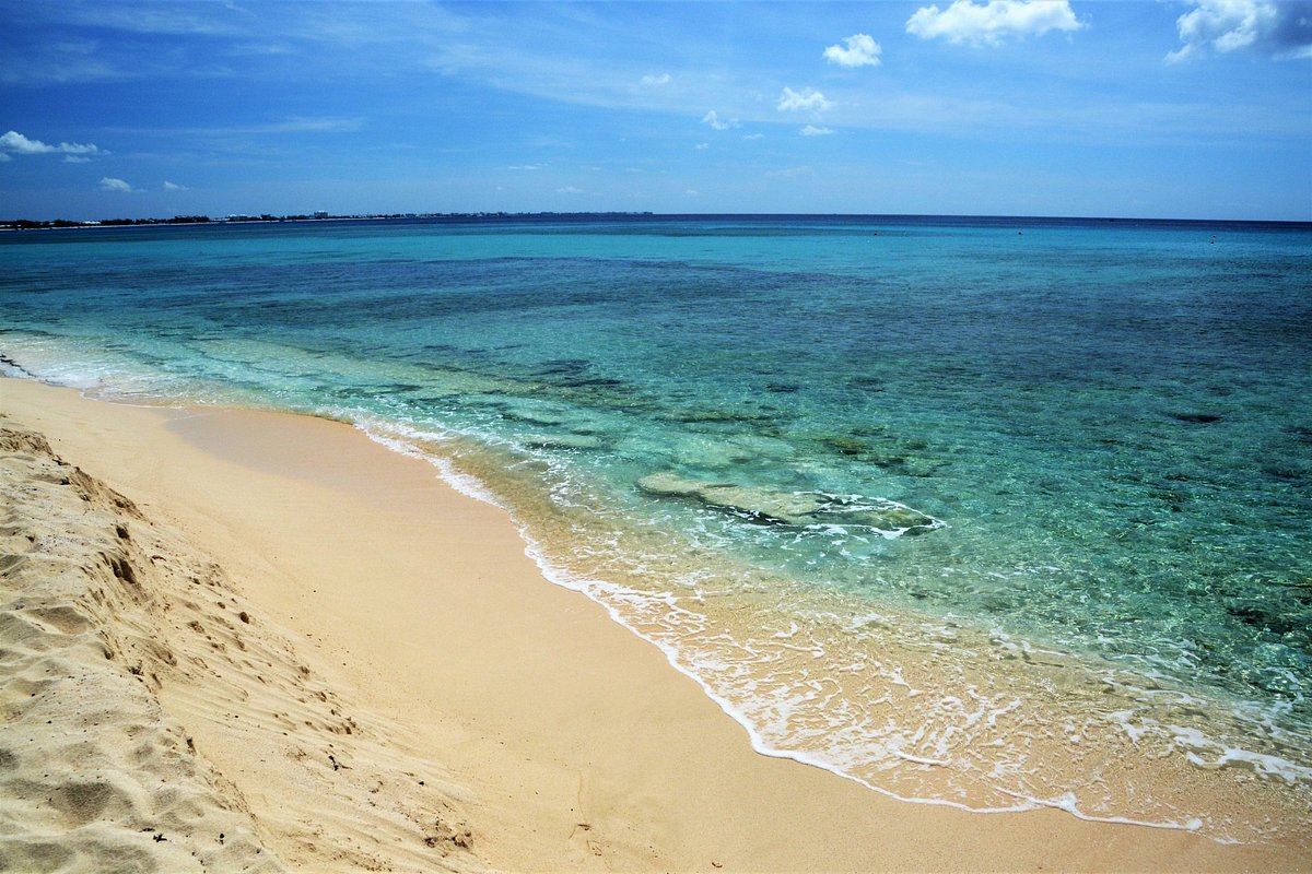 Pristine beach shore